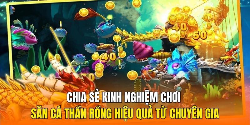 Chia sẻ kinh nghiệm chơi săn cá Thần Rồng hiệu quả từ chuyên gia